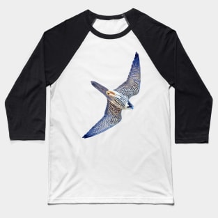 Hobby Cutout Art Baseball T-Shirt